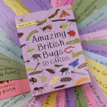 Amazing British Bugs ID cards