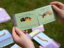 Amazing British Bugs ID cards