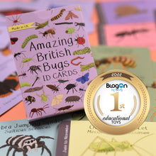 Amazing British Bugs ID cards