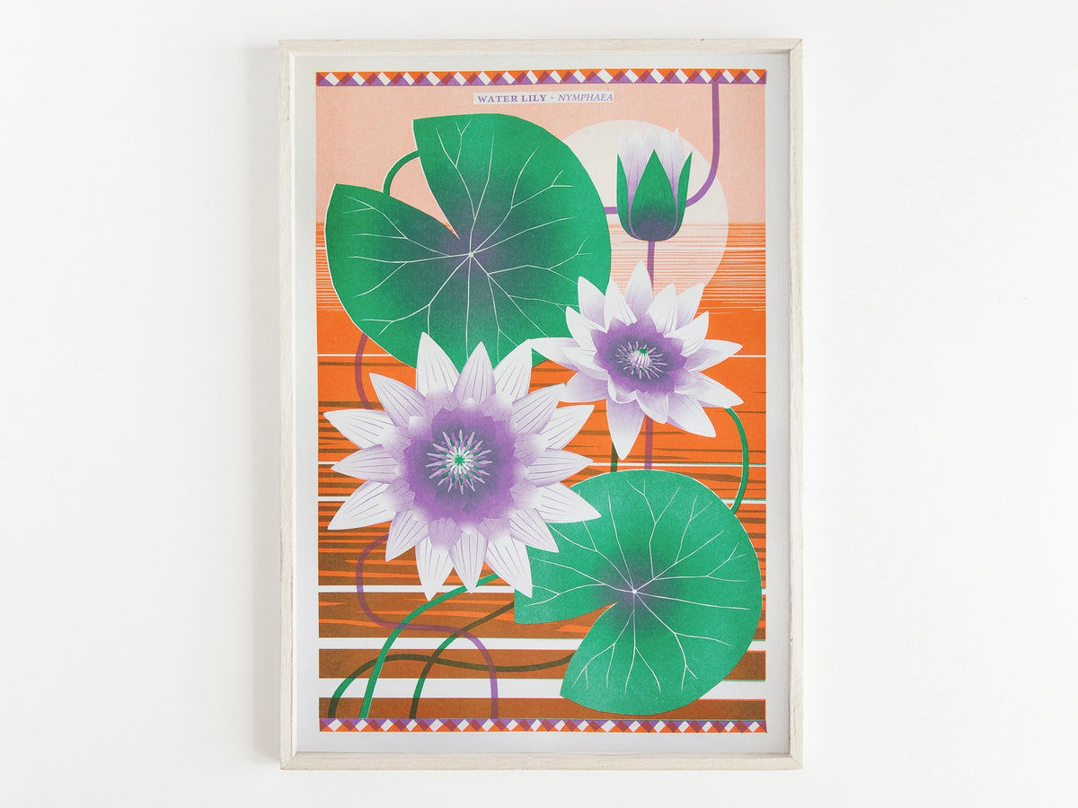 A3 Water Lily Print