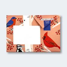 Carnival Of Colour Pigeon Pack