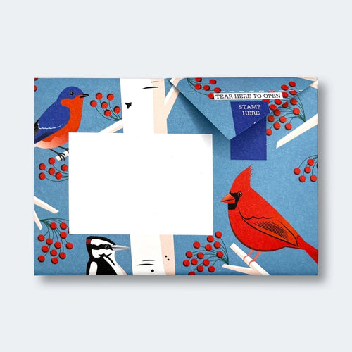 Carnival Of Colour Pigeon Pack