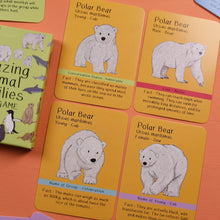 Amazing Animal Families Card Game