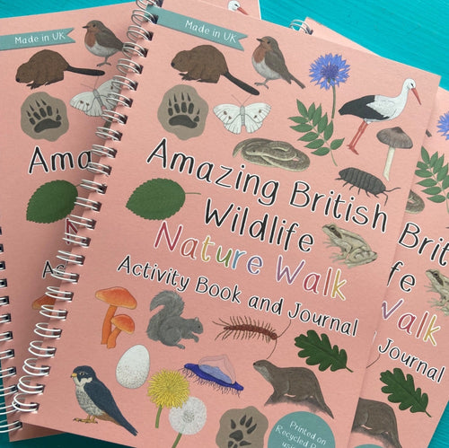 British Wildlife Nature Walk Fact And Activity Book