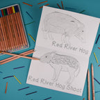 Amazing Baby Animals Colouring Book