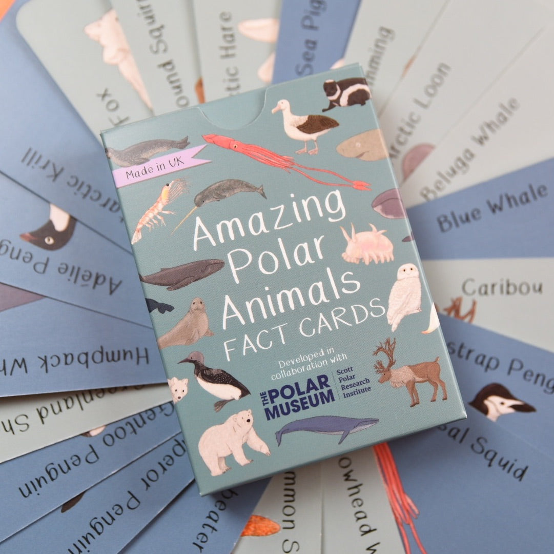 Amazing Polar Animals Fact Cards