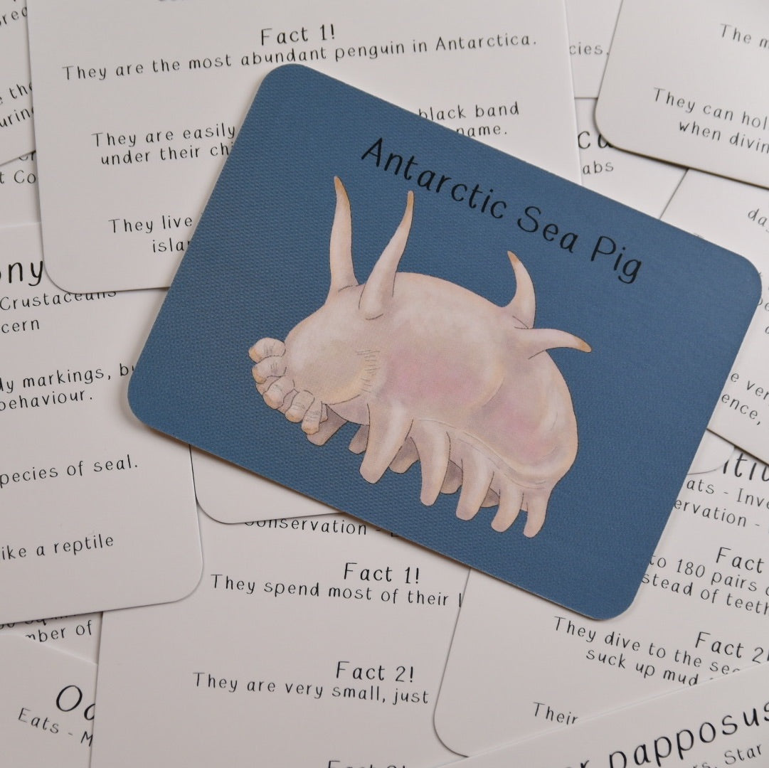 Amazing Polar Animals Fact Cards