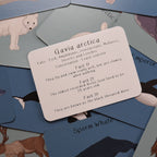 Amazing Polar Animals Fact Cards