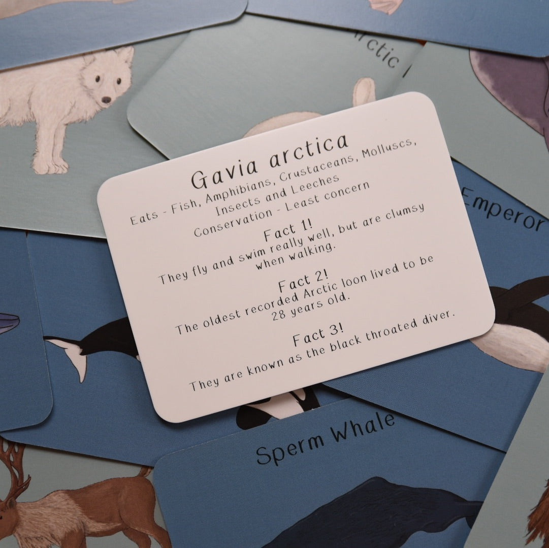Amazing Polar Animals Fact Cards
