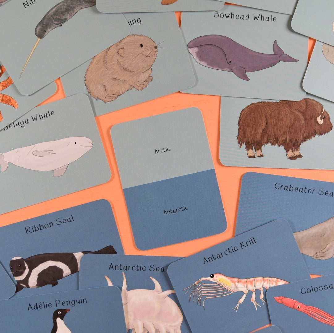 Amazing Polar Animals Fact Cards