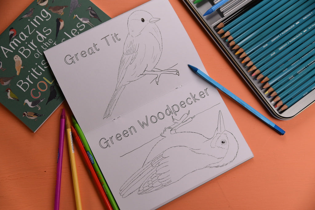 Amazing Birds Of The British Isles Colouring Book