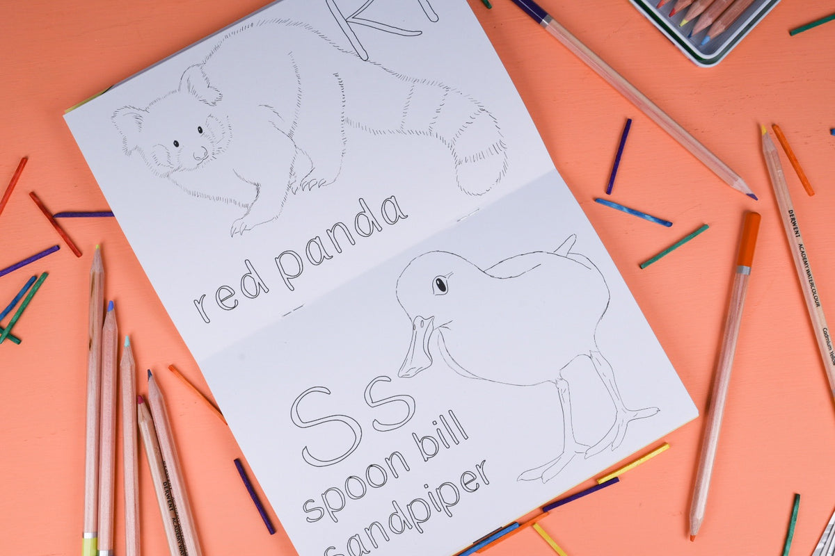Alphabet Of Amazing Animals Colouring Book