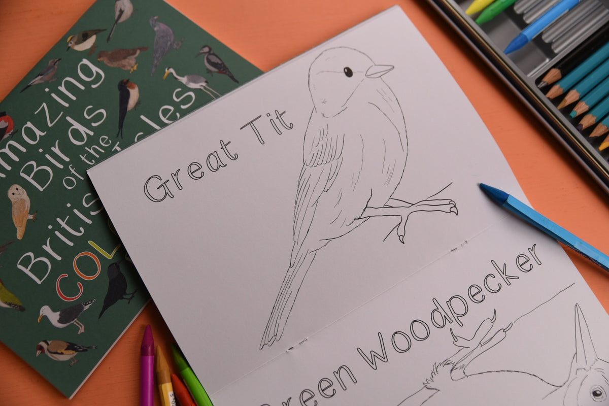 Amazing Birds Of The British Isles Colouring Book