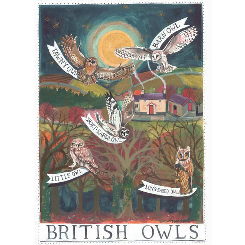 British Owls Greeting Card