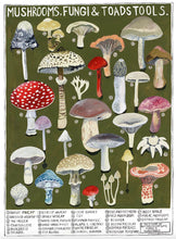 Mushrooms Greeting Card