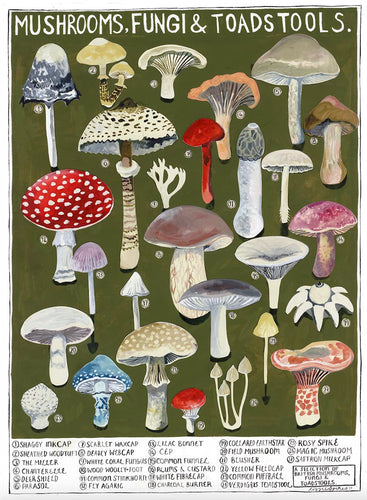 Mushrooms Greeting Card