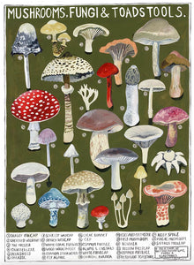 Mushrooms Greeting Card