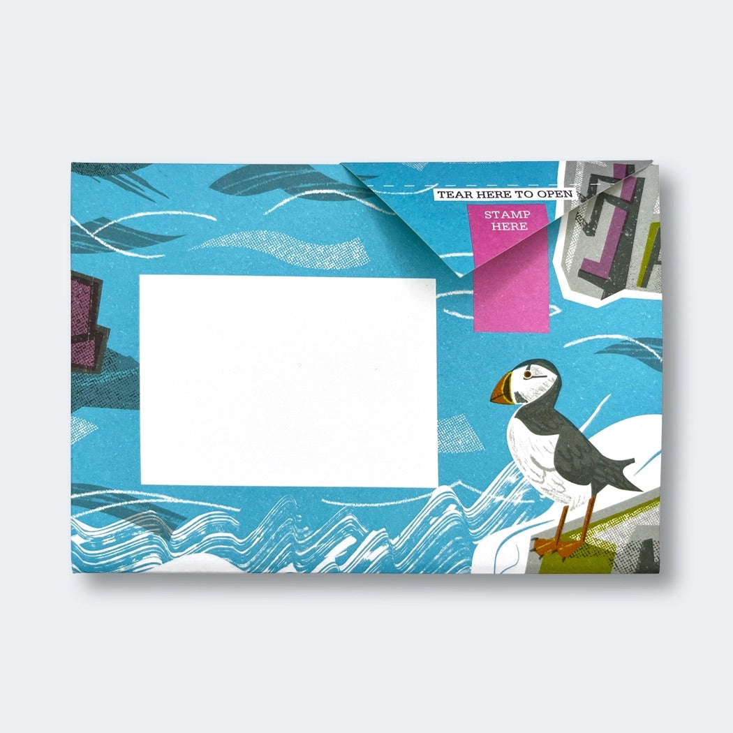 Safe Harbour Pigeon Pack