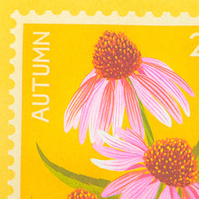 A5 Echinacea Print