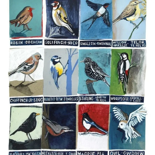Birds Card