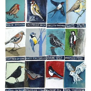 Birds Card