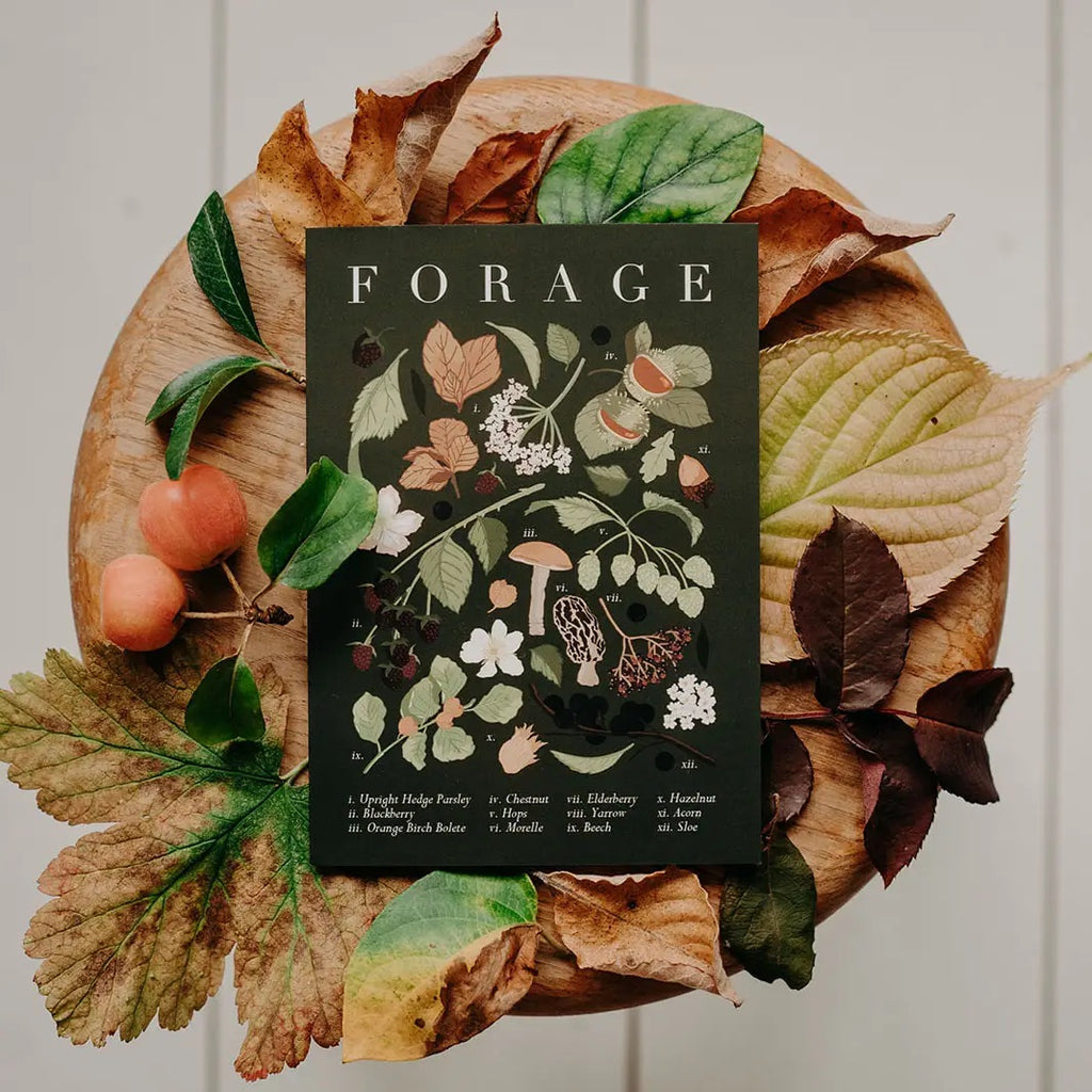 Forage Greeting Card