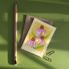 Echinacea Greetings Card
