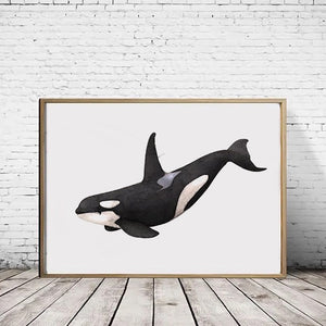 Orca A4 Print