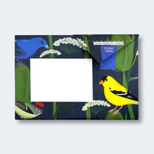 Carnival Of Colour Pigeon Pack