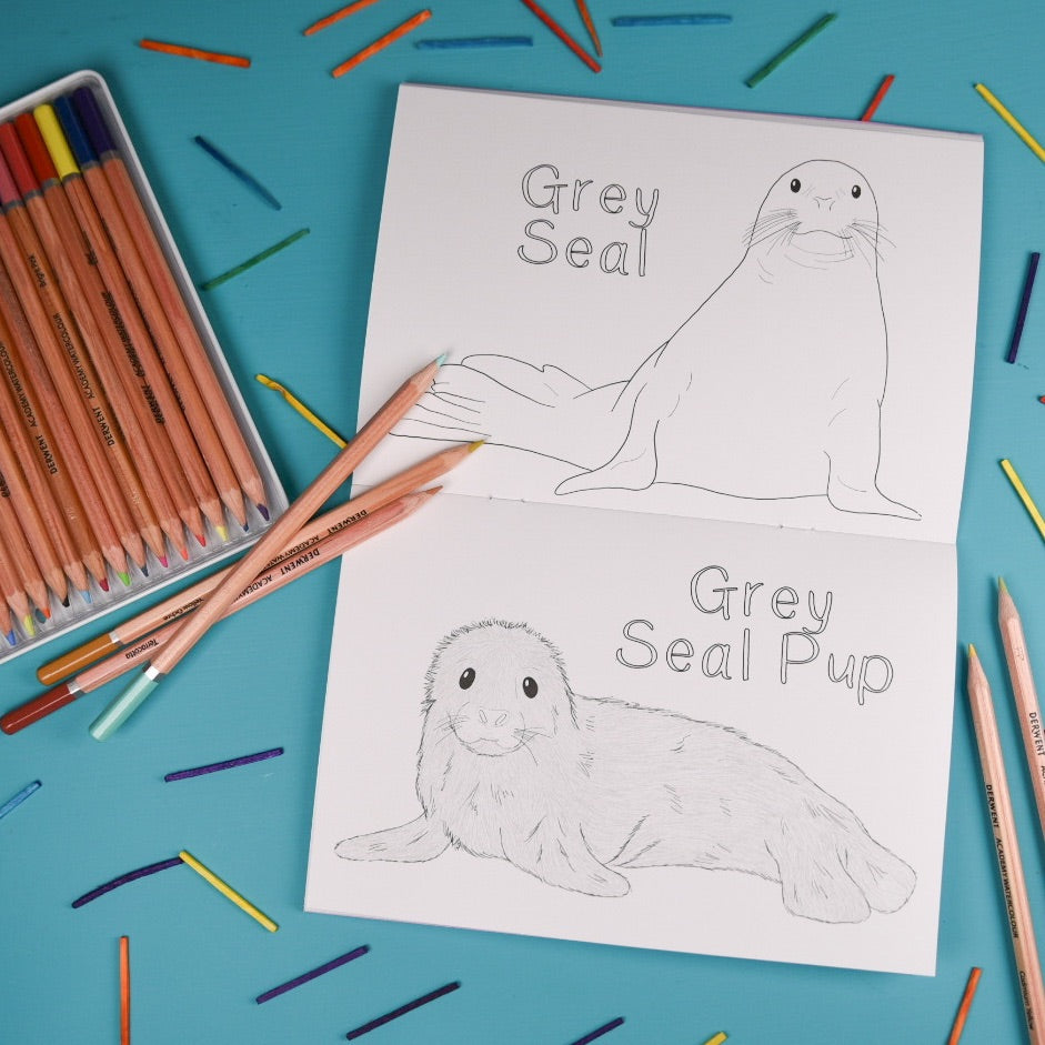 Amazing Baby Animals Colouring Book