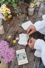Vintage Cornflower Pocket Flower Press