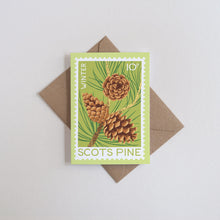 Scots Pine Greetings Card