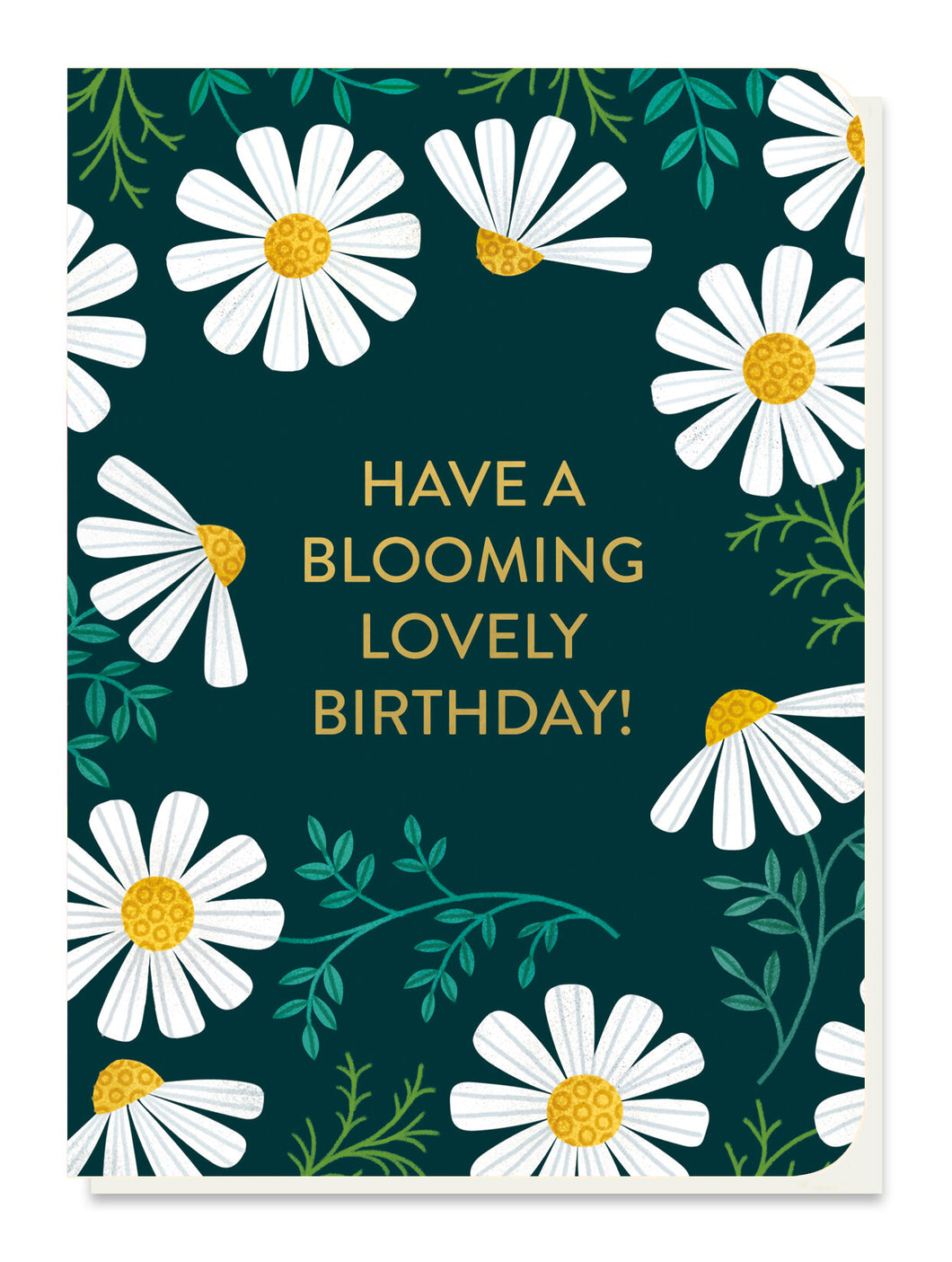 Chamomile Seedstick Birthday Card