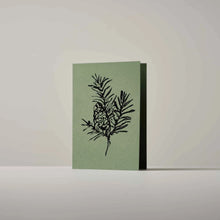 Balsam Fir Greeting Card