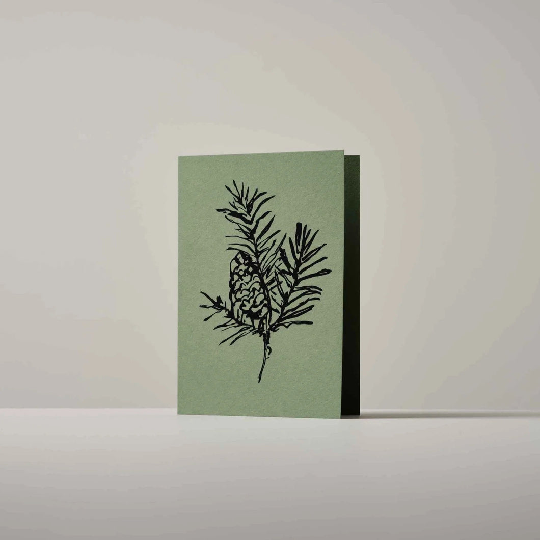 Balsam Fir Greeting Card