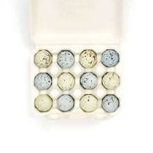 12 Christmas Turtle Dove Chocolate Eggs