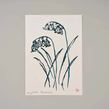 A4 Bluebell Art Print