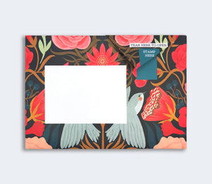 Bright And Beautiful Pigeon Pack