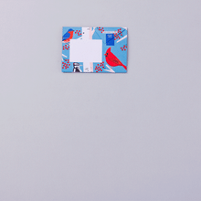 Carnival Of Colour Pigeon Pack