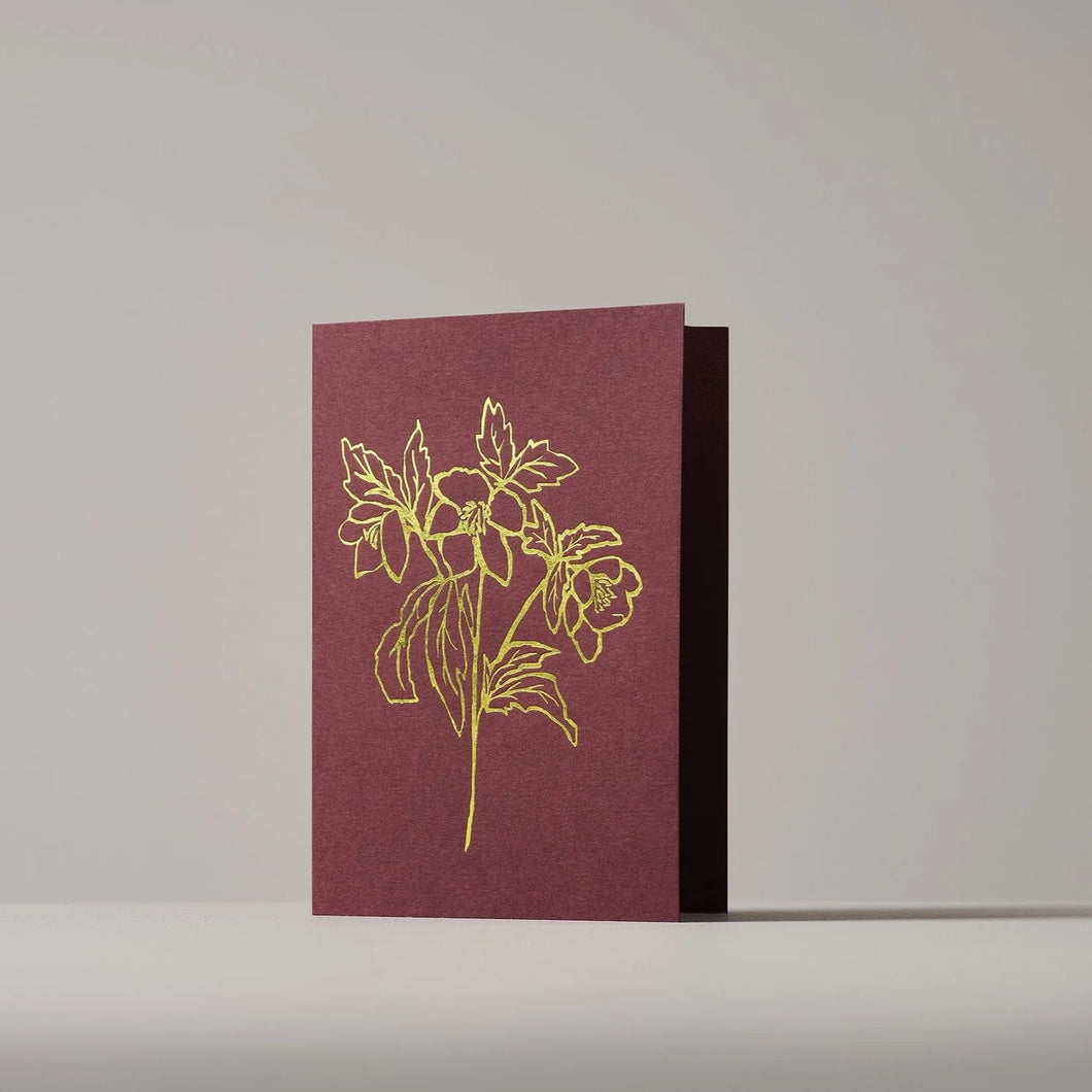 Christmas Rose Greeting Card
