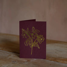 Christmas Rose Greeting Card