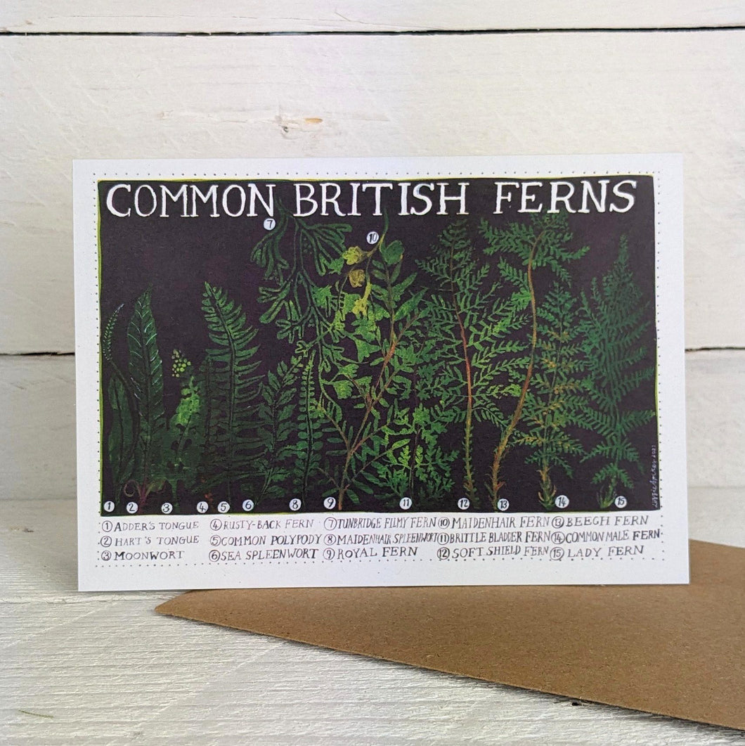 British Ferns Greeting Card