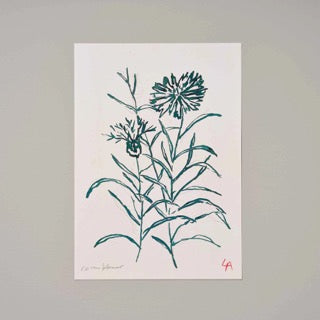 A4 Cornflower Art Print