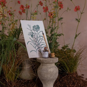 A4 Cornflower Art Print