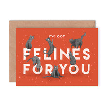 Felines For You Greeting Card