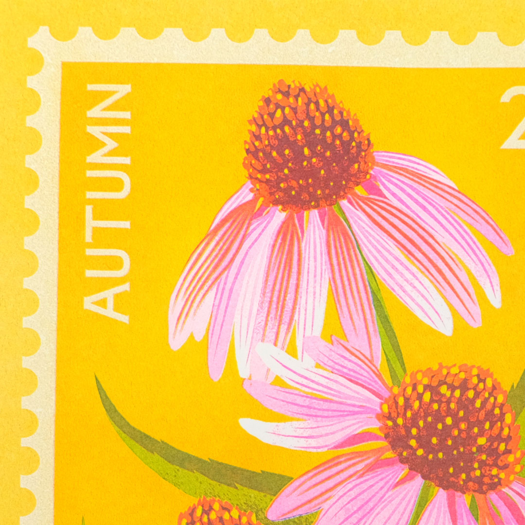 Close up of illustration of Echinacea fkowers in pink and green against a yellow background. 