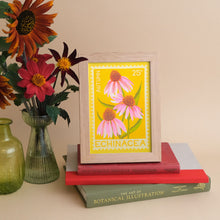 Framed risograph print of illustration of echinacea flowers in pink with green stems, against a yellow background. 