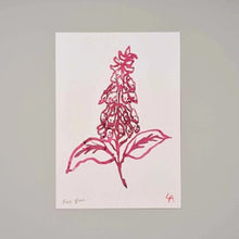 A4 Foxglove Art Print