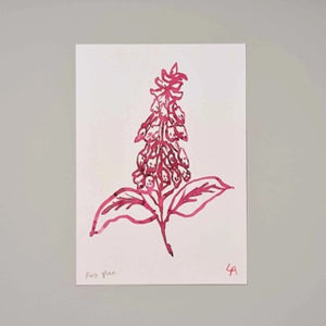 A4 Foxglove Art Print
