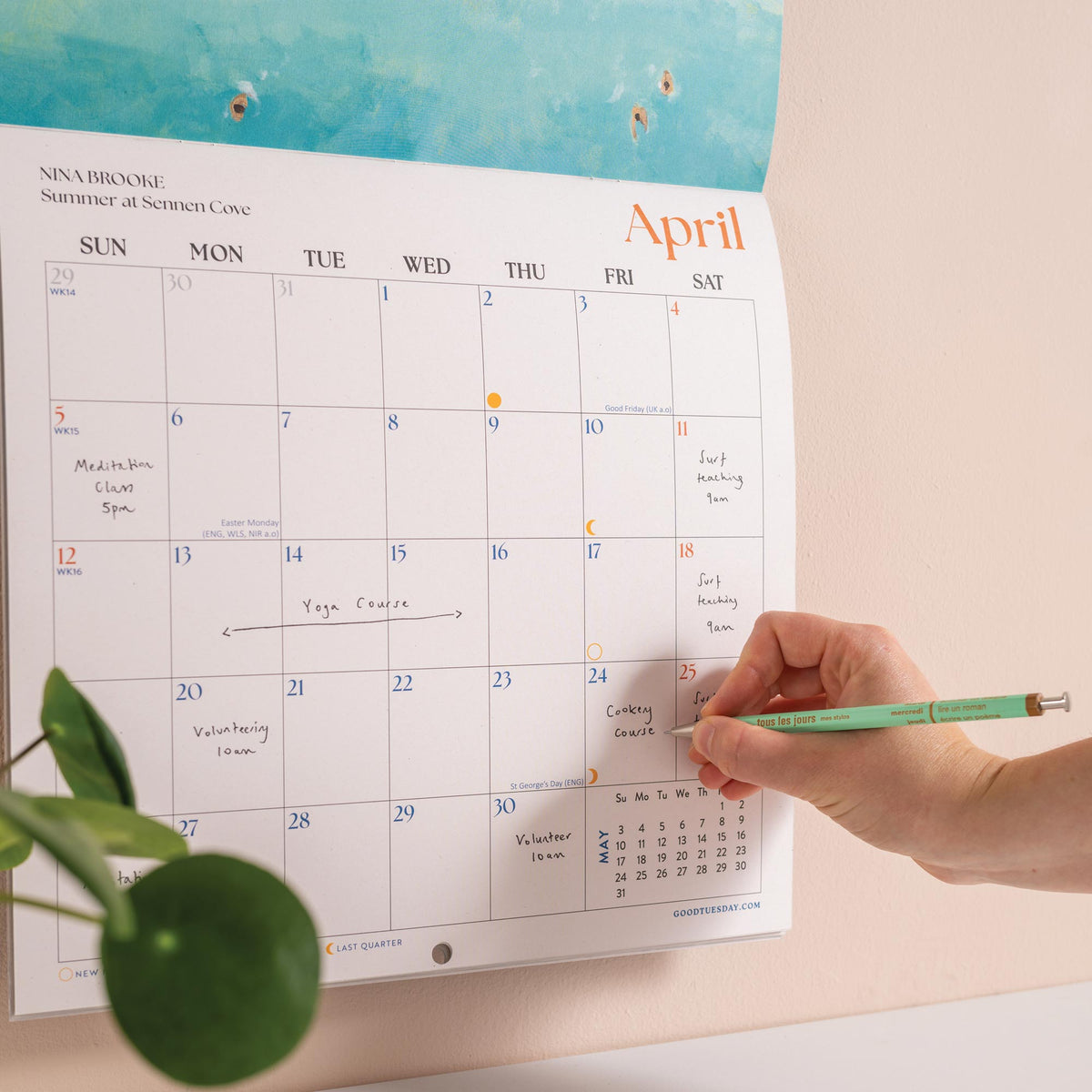 Hand writing on a wall calendar with a pen, next to a plant